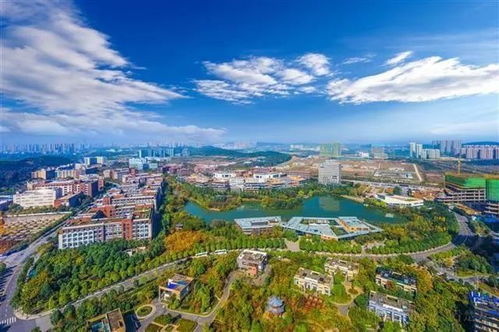 中科招商領(lǐng)銜久久益之星等3機(jī)構(gòu)參與盛齊安定增，打造中國(guó)腫瘤治療通信技術(shù)開(kāi)發(fā)獨(dú)角獸